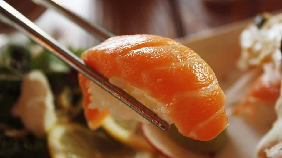 sushi-zalm-Horeca-Webzine