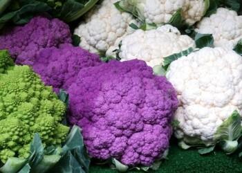 bloemkool bloemkolen horeca webzine