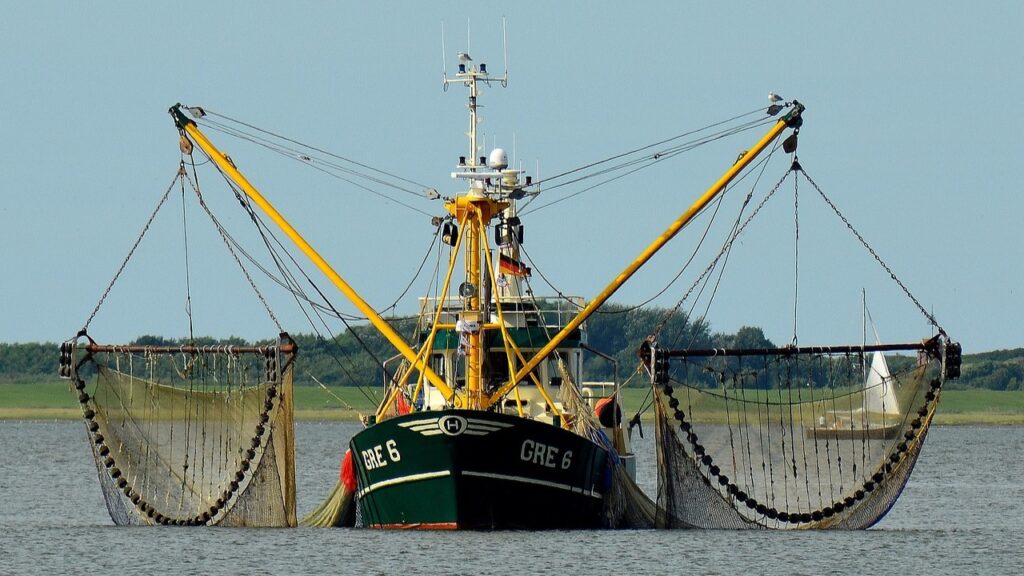 vissersboot visvangst vis