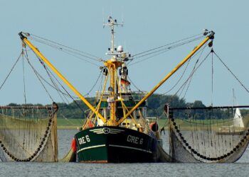 vissersboot visvangst vis